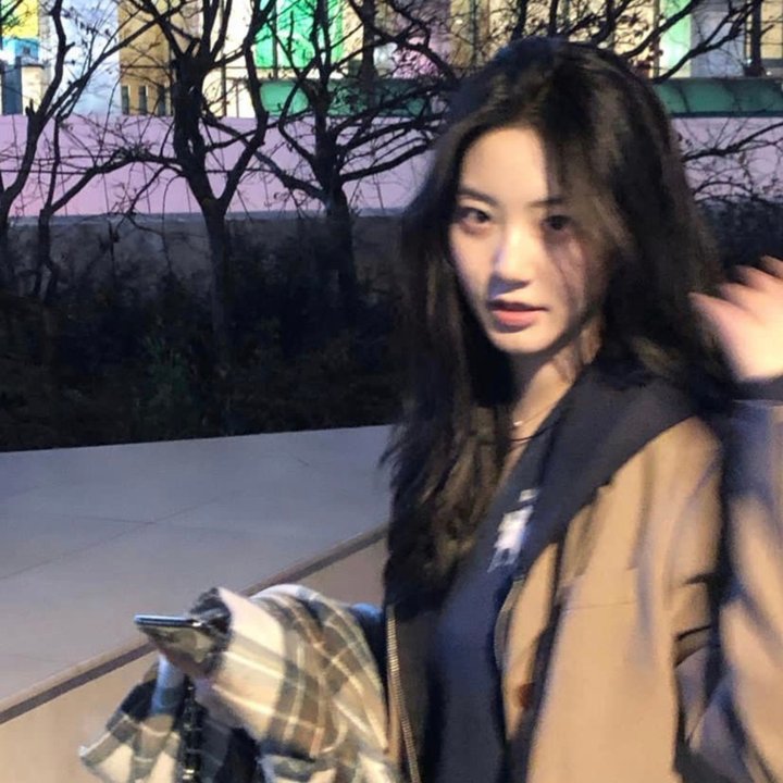 淑女鸟